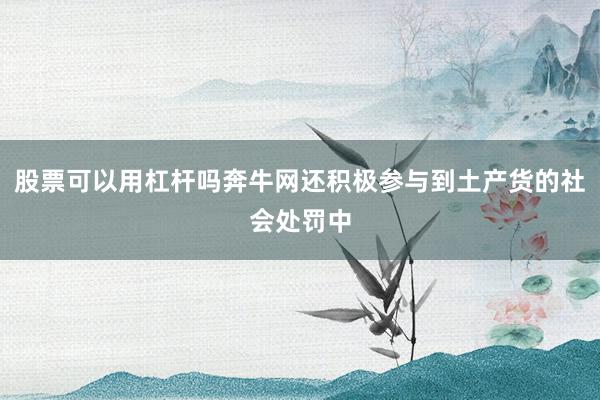 股票可以用杠杆吗奔牛网还积极参与到土产货的社会处罚中
