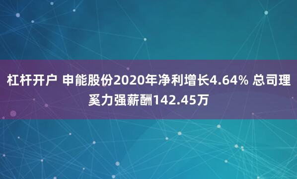 杠杆开户 申能股份2020年净利增长4.64% 总司理奚力强薪酬142.45万